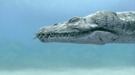 walking with dinosaurs netflix