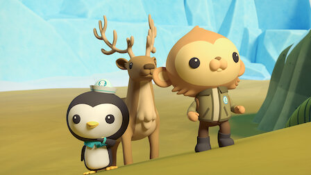 Octonauts Above Beyond Netflix Official Site