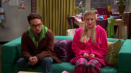 the big bang theory season 2 episode 9 the big bang theory season 2 episode 9