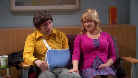 big bang theory season 2 episode 23