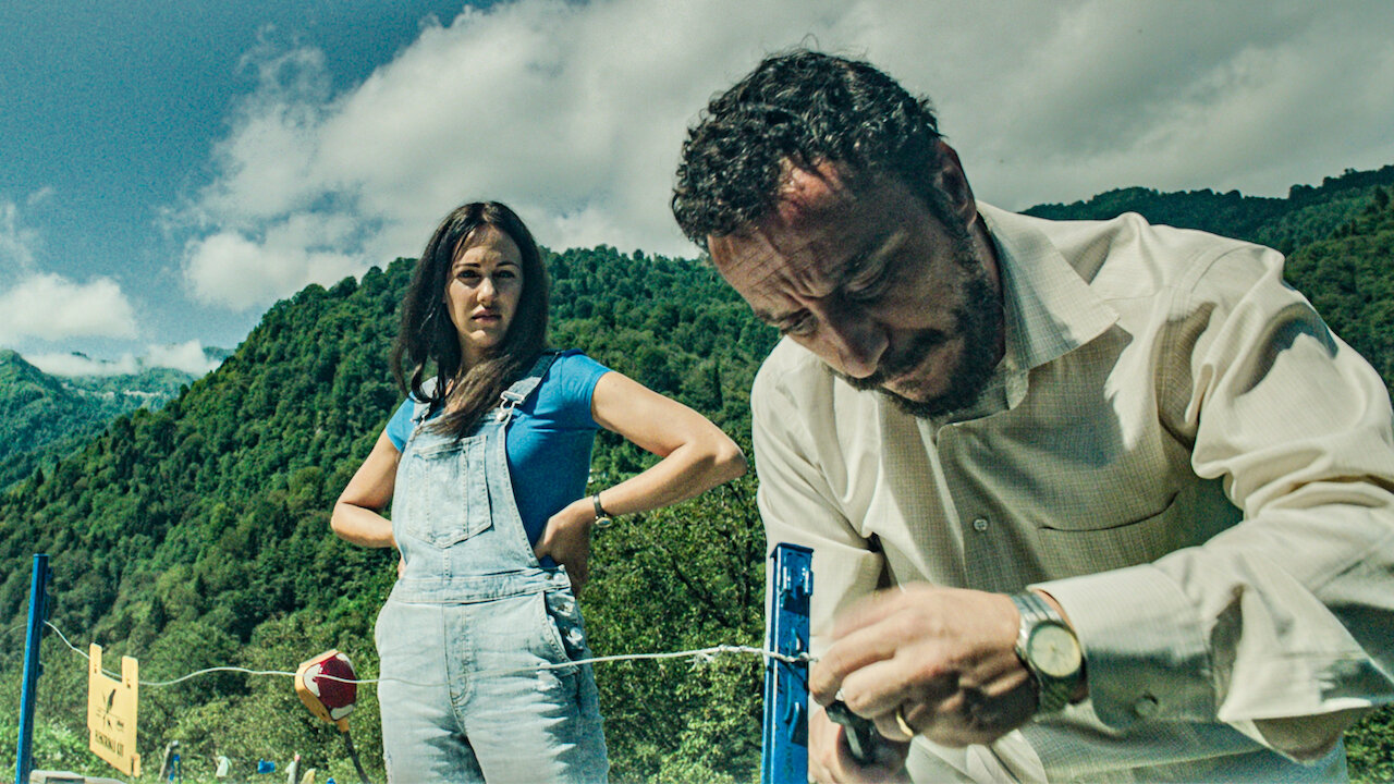 Keeping The Bees Netflix Keeping The Bees Netflix