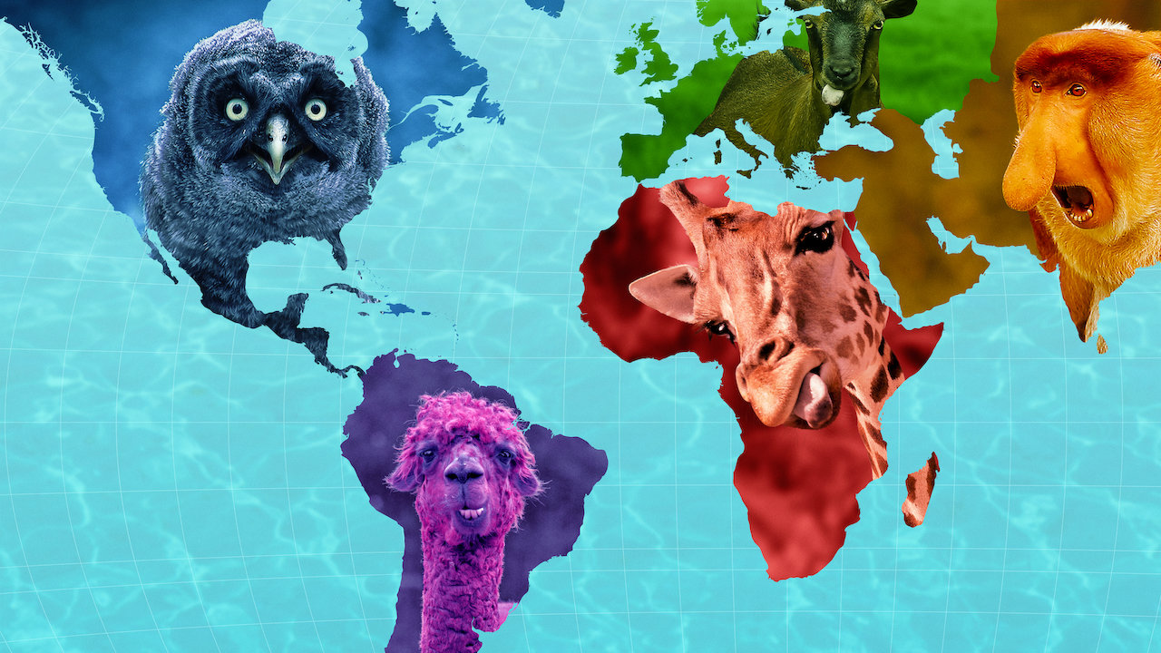 Absurd (2020) Cast and Crew, Trivia, Quotes, Photos, News and