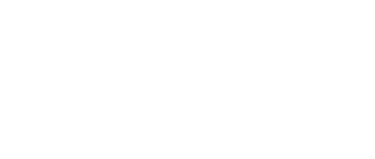 Term Life Netflix