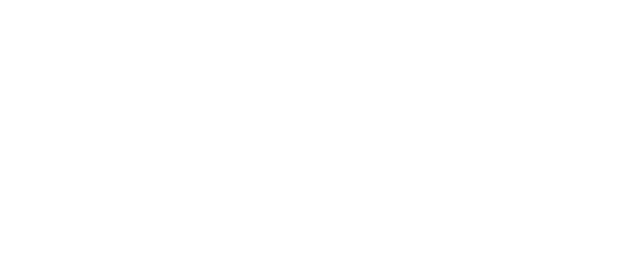 秘密森林 Netflix