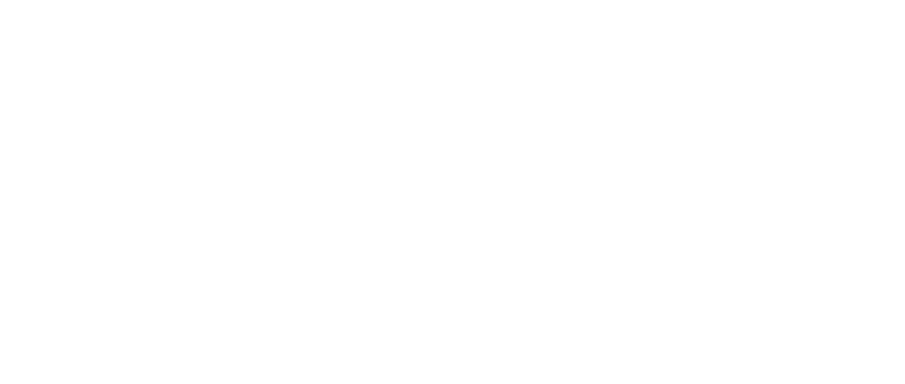 豪華で新しい Aurora Chicken Of Bump Arc Dome Tokyo 邦楽 Cohfh Org