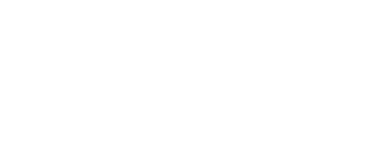 The Paper Tigers Netflix