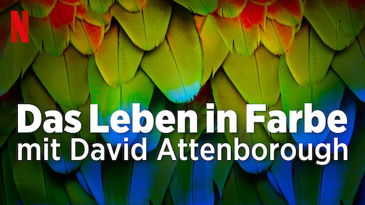 Das Leben In Farbe Mit David Attenborough Netflix Offizielle Webseite