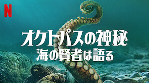 高い評価を得た映画 Netflix ネ ッ トフ リ ッ ク ス 公 式サ イ ト 高い評価を得た映画 Netflix ネ ッ トフ リ ッ ク ス 公 式サ イ ト