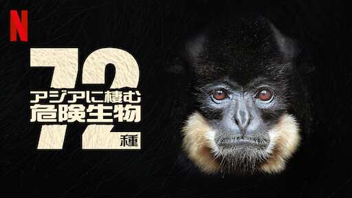アジアに棲む危険生物72種 Netflix ネットフリックス 公式サイト アジアに棲む危険生物72種 Netflix ネットフリックス 公式サイト