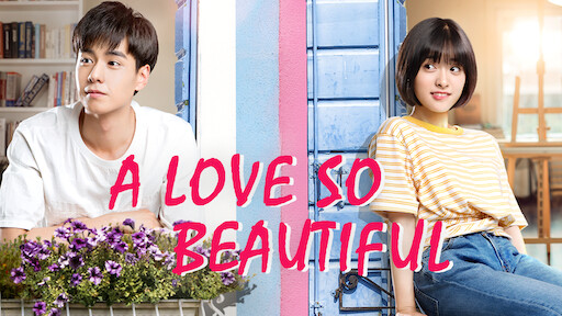 A Love So Beautiful Netflix