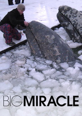 Big Miracle